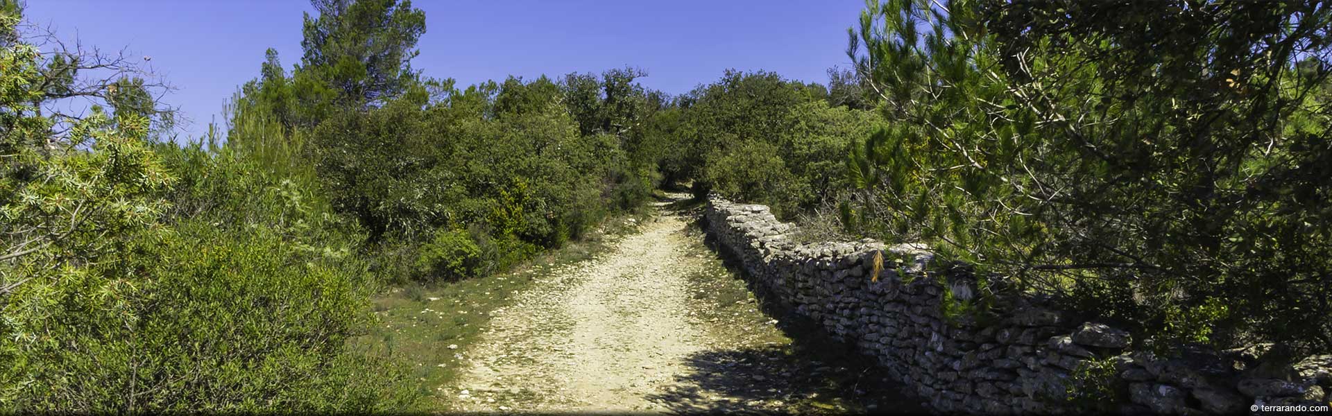 Randonnée pédestre dans le Vaucluse à Goult / Lumières