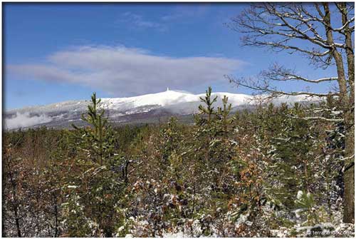 La randonnée du col des Abeilles et la forêt domaniale du Ventouret dans le Vaucluse