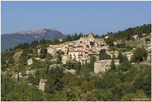 La randonnée d'Aurel et la forêt du Ventouret dans le Vaucluse