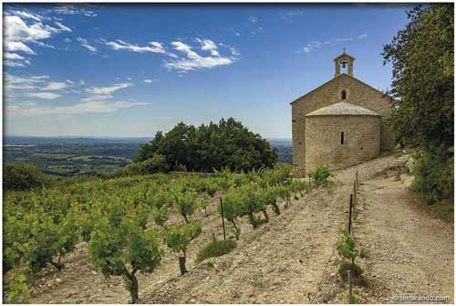 Randonnée de Beaumes de Venise au sud des Dentelles de Montmirail en Vaucluse