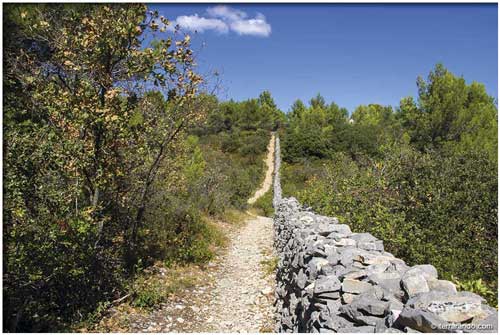 Randonnée pédestre de Cabrières d'Avignon et le mur de la peste en Vaucluse