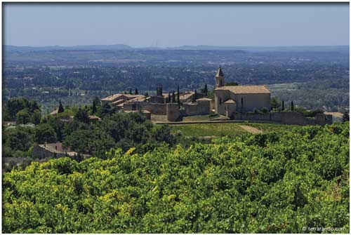 La randonnée de Cairanne et la découverte du vieux village