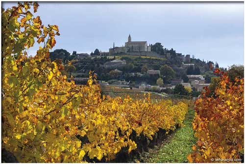 Randonnée pédestre de Cairanne en Vaucluse