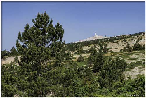 La randonnée du Chalet Reynard sur le mont Ventoux