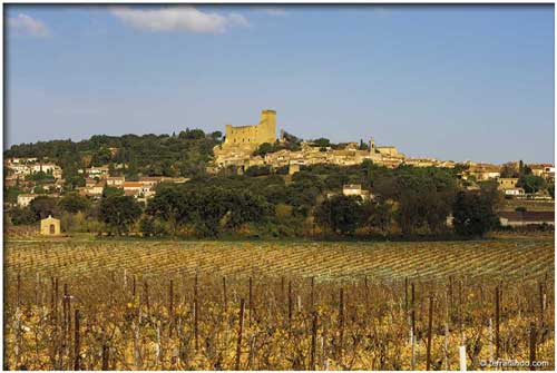 Randonnée pédestre de Châteauneuf du Pape en Vaucluse