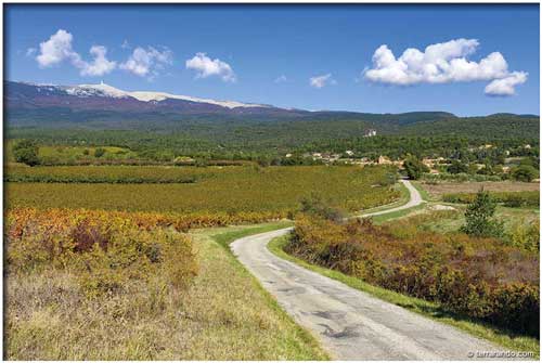 Randonnée de Flassan et la combe de Canaud dans le mont Ventoux en Vaucluse