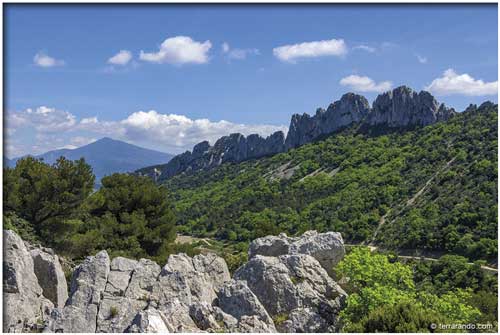 Randonnée pédestre de Gigondas -les Dentelles de Montmirail en Vaucluse