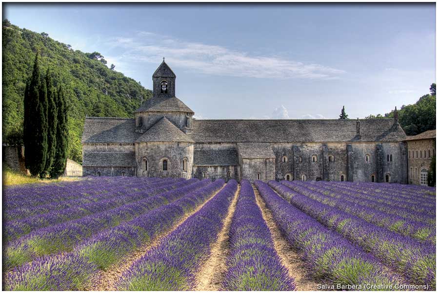 La randonnée de Gordes et l'abbaye N-D de Sénanque