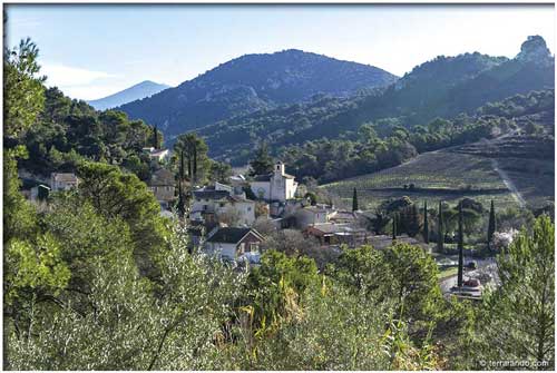 Randonnée pédestre à Lafare dans les Dentelles de Montmirail en Vaucluse