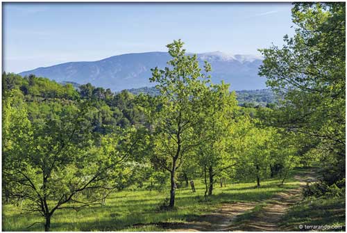 la randonnée de Malemort du Comtat, entre Monts de Vaucluse et Comtat Venaissin