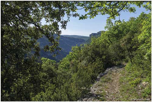 La randonnée du Pas du loup, le Nord des gorges de la Nesque