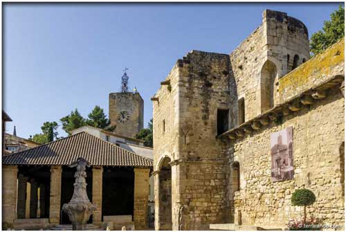 Randonnée de Pernes les Fontaines - sur les hauteurs de Pernes en Vaucluse