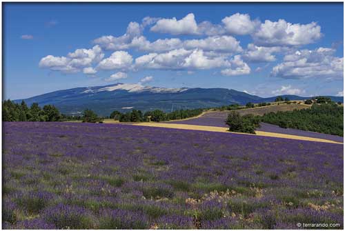 La randonnée de Saint-Christol d'Albion et le plateau d'Albion