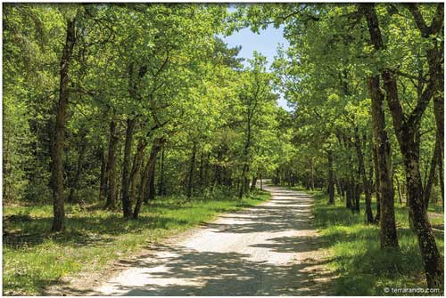 La randonne de Sault et le bois du Défends