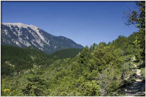 randonnée pédestre Savoillans vallée du Toulourenc en Vaucluse