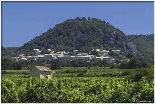 Randonnée pédestre de Séguret dans le Vaucluse