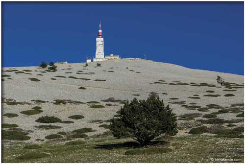 Randonnée sommet mont Ventoux, versant Sud / au départ du chalet Reynard