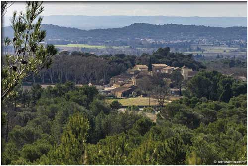 Randonnée pédestre d'Uchaux et le château du Castellas en Vaucluse