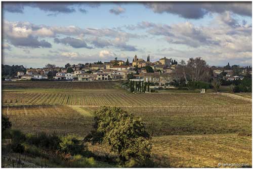 Randonnée de Vacqueyras entre Ouvèze et Dentelles de Montmirail