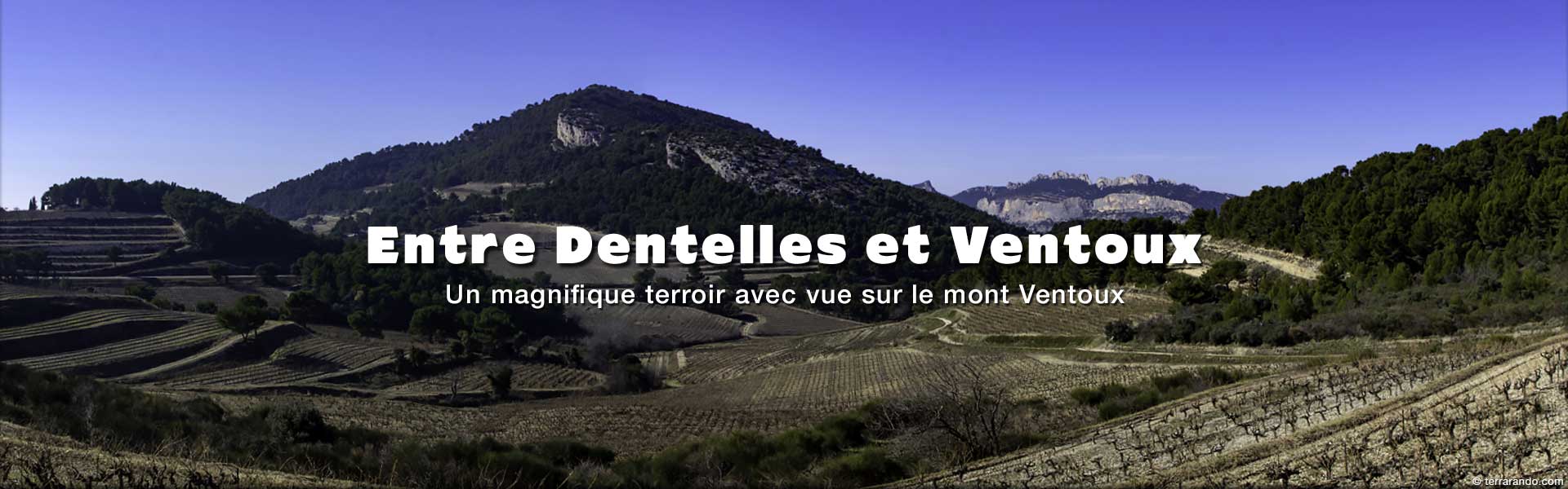 week-end randonnées entre Dentelles de Montmirail et mont Ventoux