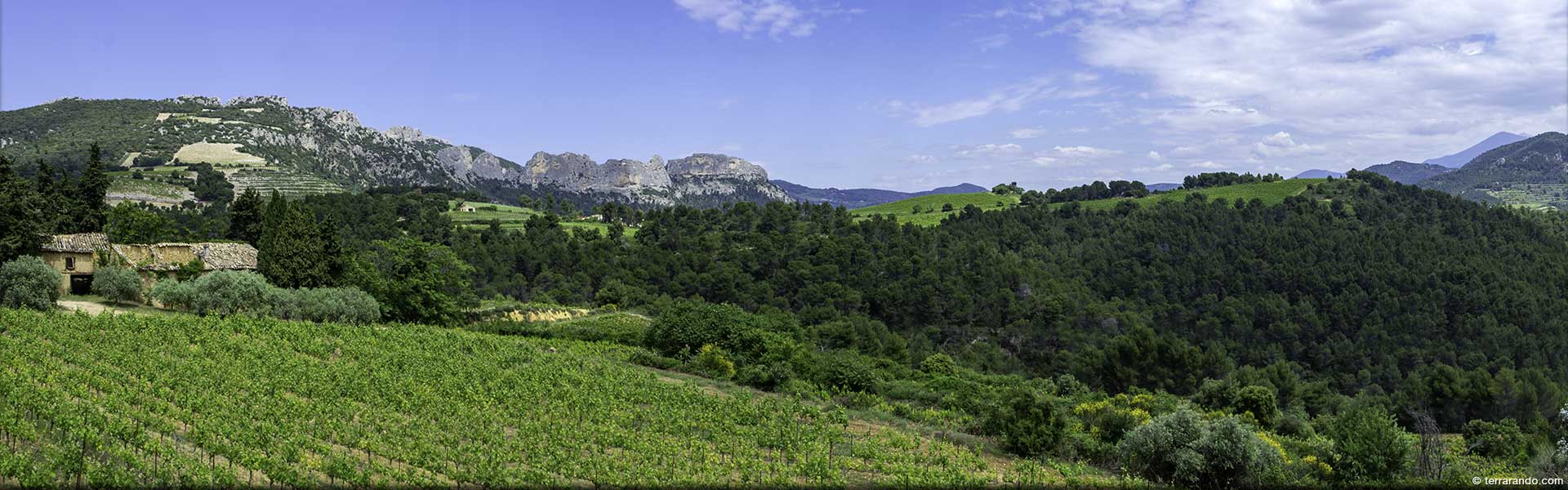 La randonnée de Beaumes de Venise au sud des dentelles de Montmirail