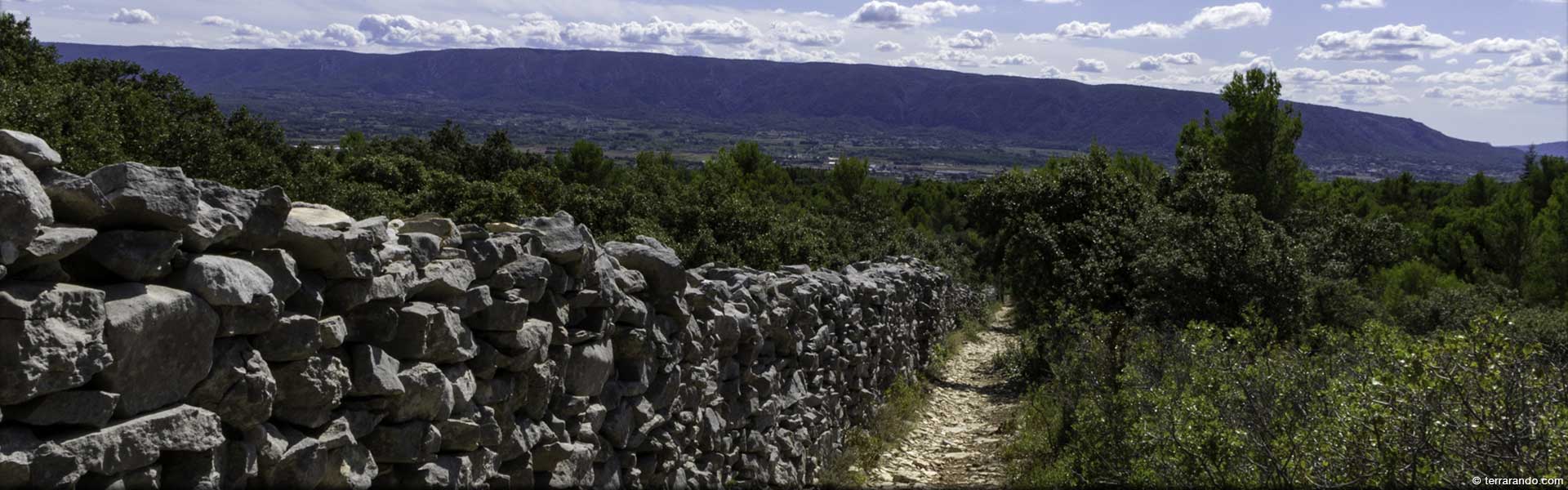 Randonnée pédestre à Cabrières d'Avignon, le mur de la peste