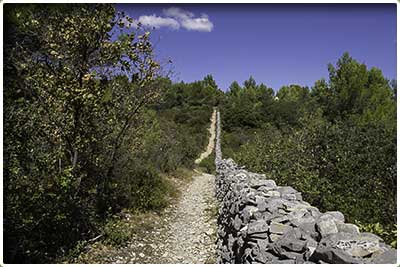 Randonnée pédestre de Cabrières d'Avignon et le mur de la peste