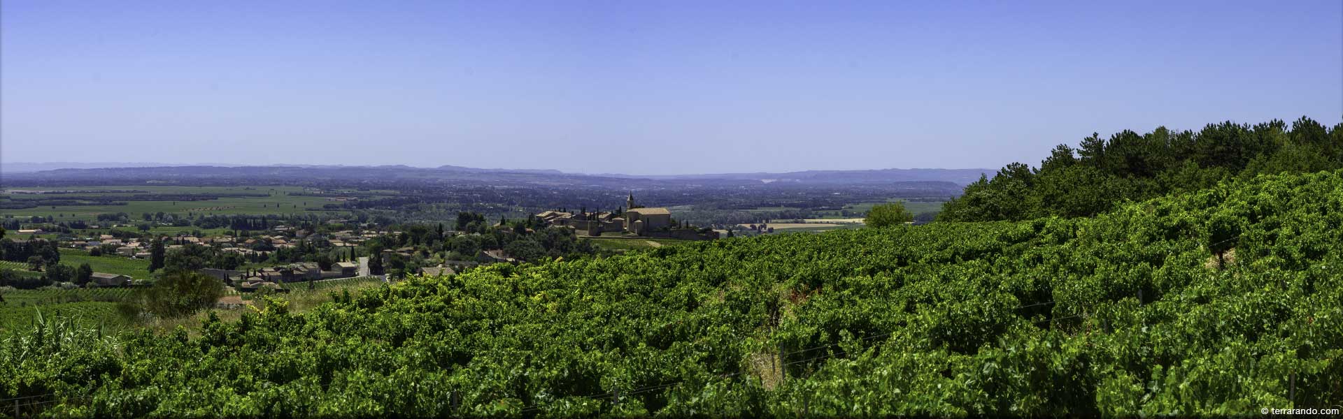 Randonnée de Cairanne dans le vallée du Rhône en Vaucluse