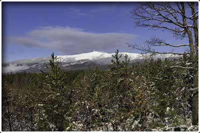 randonnée pédestre du col des Abeilles et la forêt domaniale du Ventouret