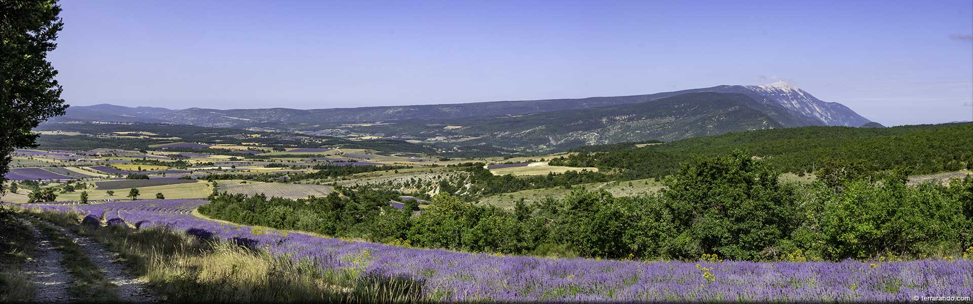 Randonnée pédestre de Ferrassières dans la Drôme