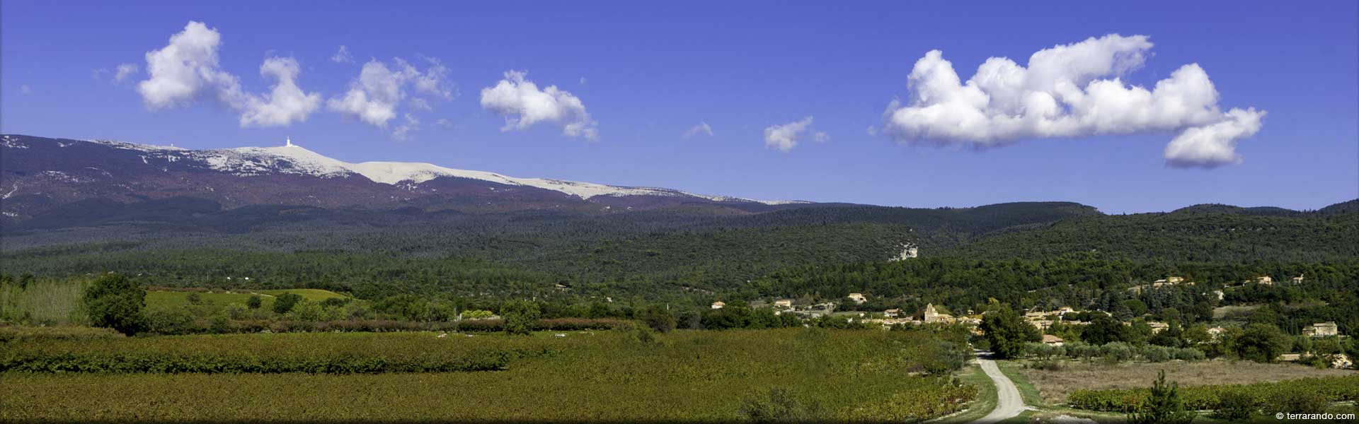 Randonnée pédestre dans le Vaucluse à Flassan dans le mont Ventoux