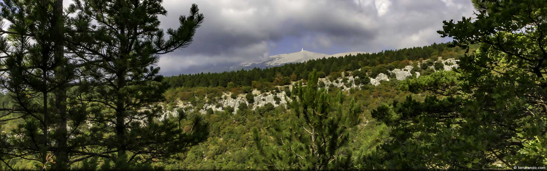 Randonnée pédestre dans le Vaucluse à Flassan