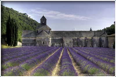 Randonnée pédestre de Gordes et l'abbaye de Sénanque