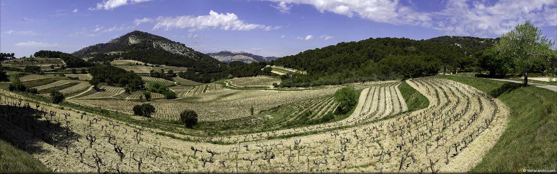 Randonnée de La Roque Alric au Sud des Dentelles de Montmirail