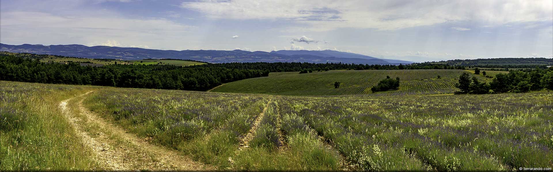 Randonnée de Lagarde d'Apt sur les hauteurs des Monts de Vaucluse