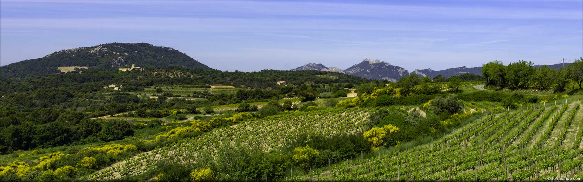 Randonnée pédestre dans le Vaucluse au Barroux