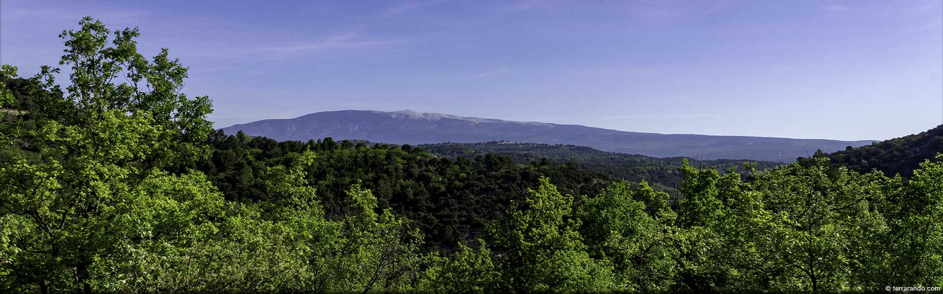 Randonnée de Malemort du Comtat dans les Monts de Vaucluse et le comtat Venaissin