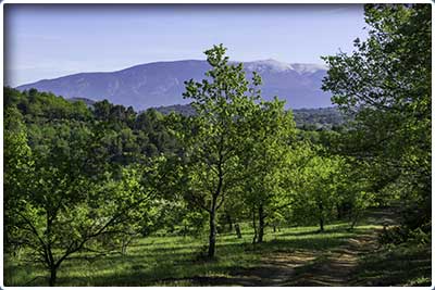 randonnée pédestre de Malemort du Comtat dans les Monts de Vaucluse et le Comtat Venaissin