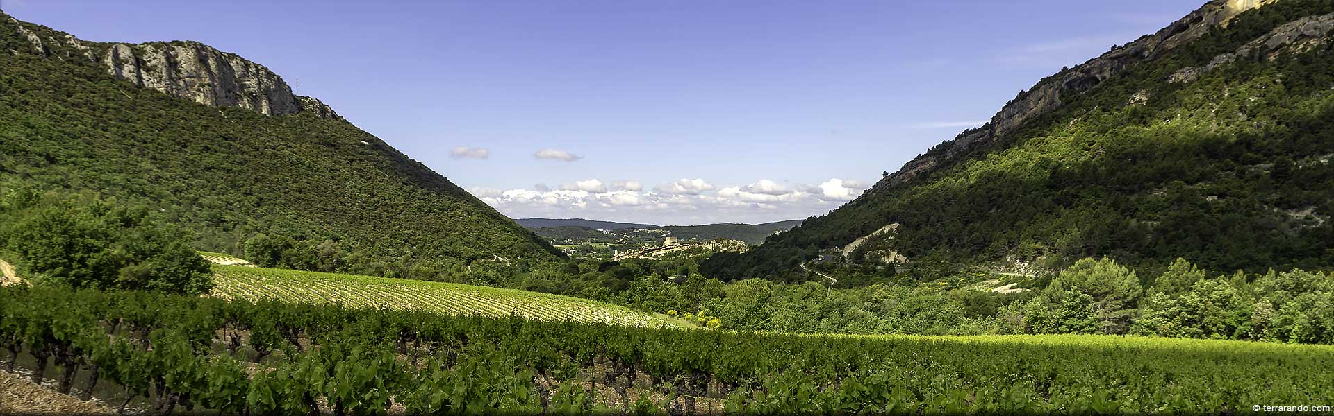 Randonnée pédestre dans la drôme à Mollans sur Ouvèze