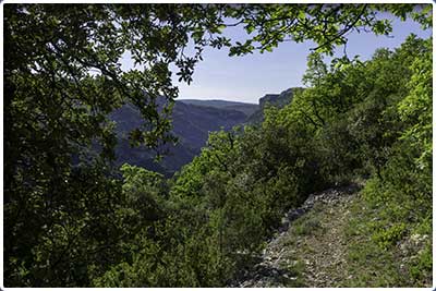 randonnée pédestre du Pas du Loup sur les hauteurs des gorges de la Nesque