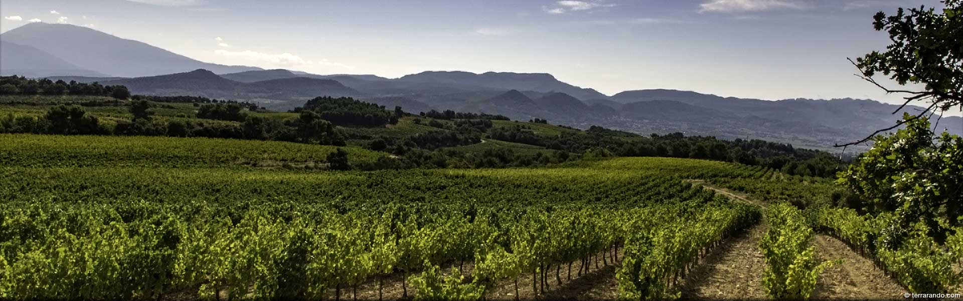 Randonnée pédestre dans le Vaucluse à Rasteau