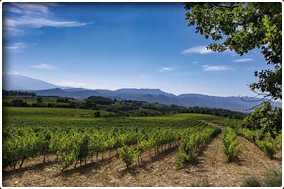 randonnée pédestre de Rasteau dans la vallée du Rhône en Vaucluse