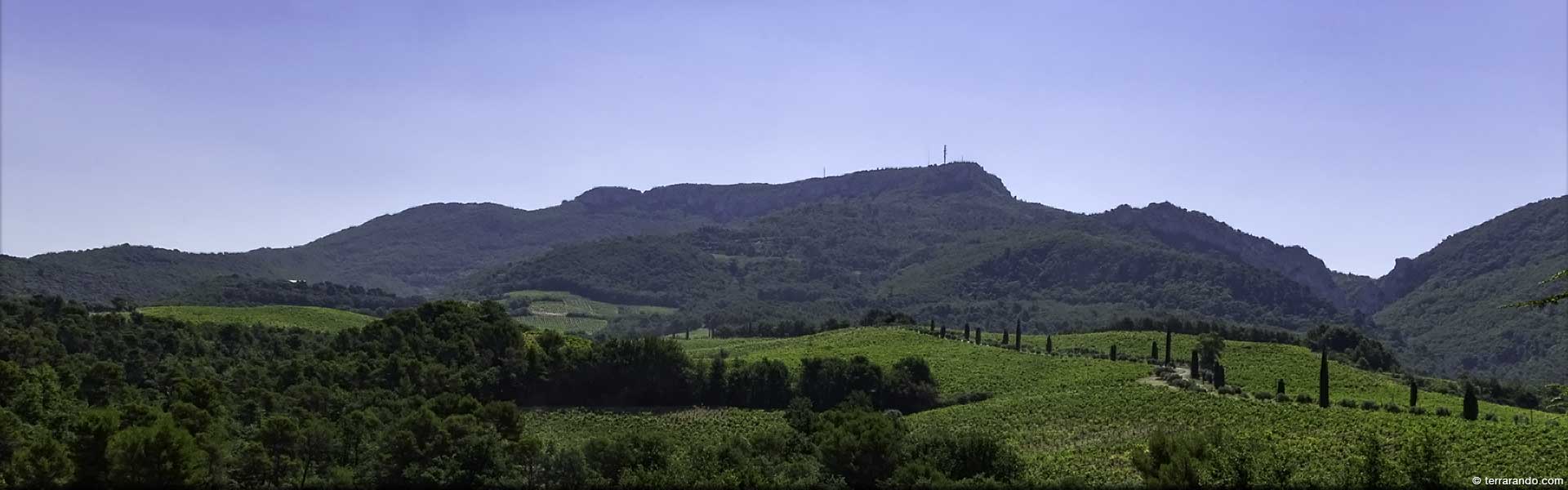 Randonnée pédestre dans le Vaucluse à Sablet