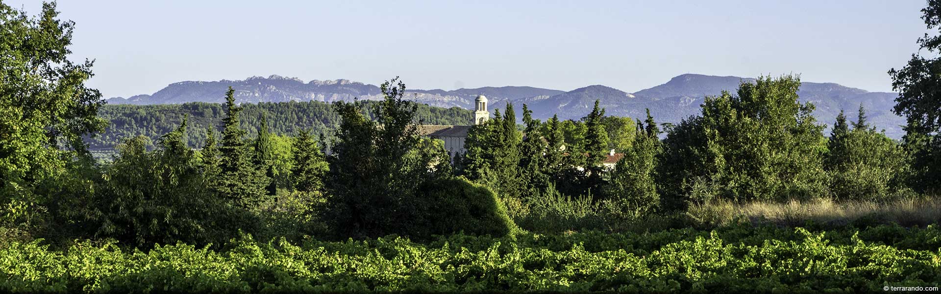 Randonnée pédestre dans les monts de Vaucluse à Saint-Didier