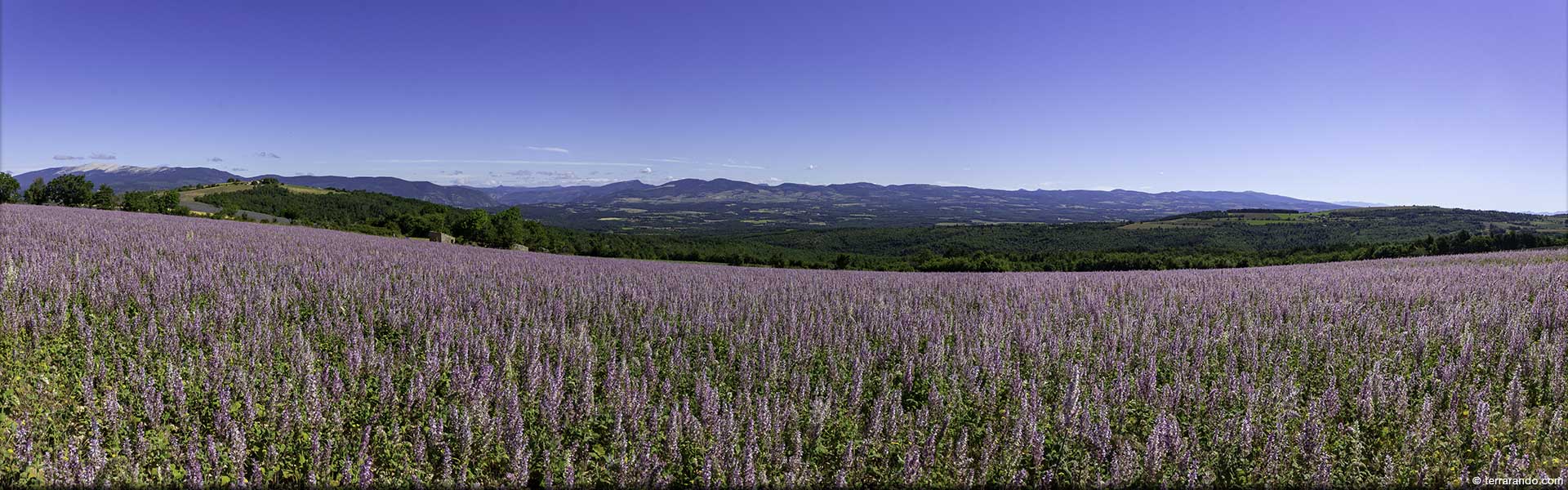 Randonnée de Saint-Jean de Durfort sur le plateau d'Albion