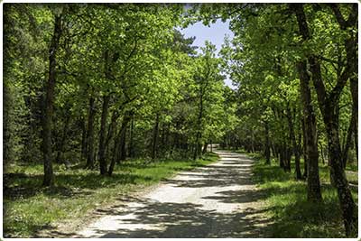 Randonnée pédestre de Sault et le bois du Défends en Vaucluse