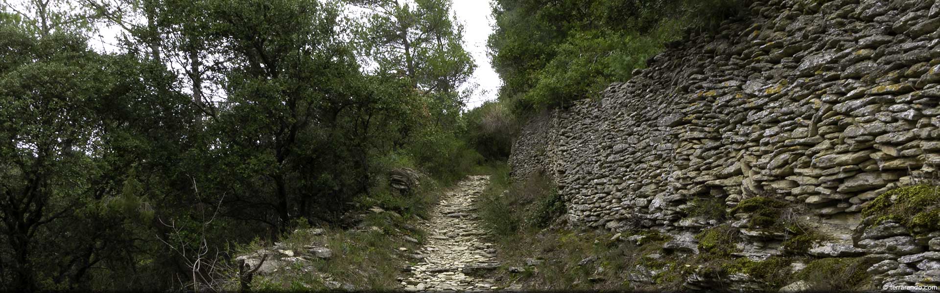 Randonnée pédestre dans le Vaucluse à Saumane de Vaucluse