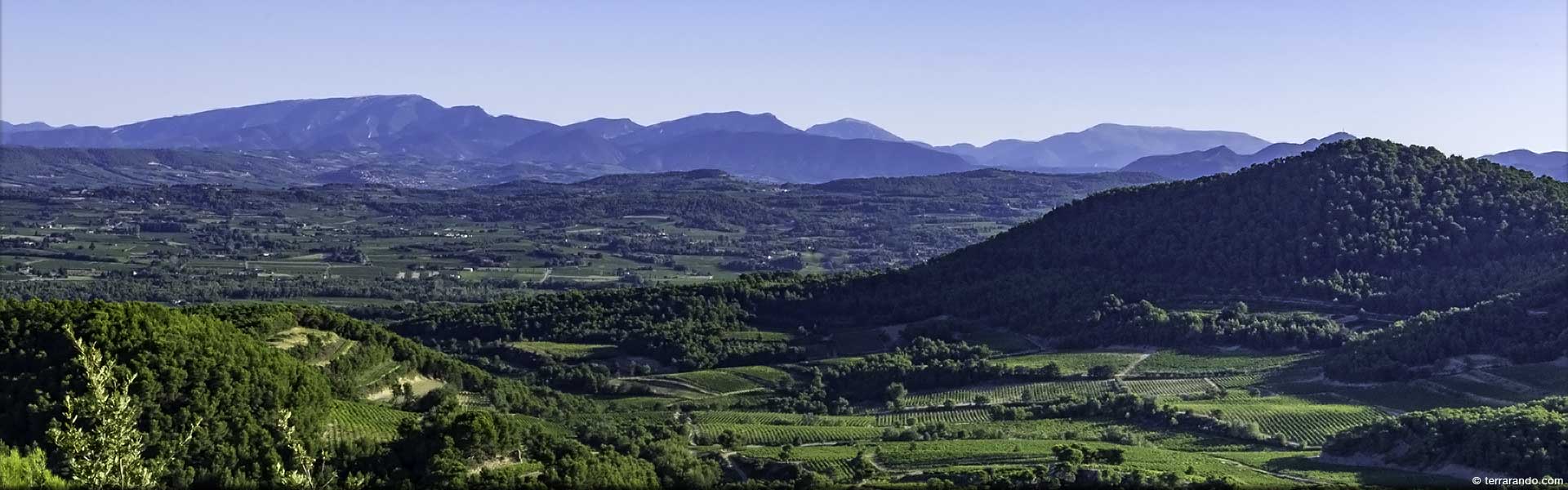 Randonnée pédestre dans le Vaucluse à Séguret