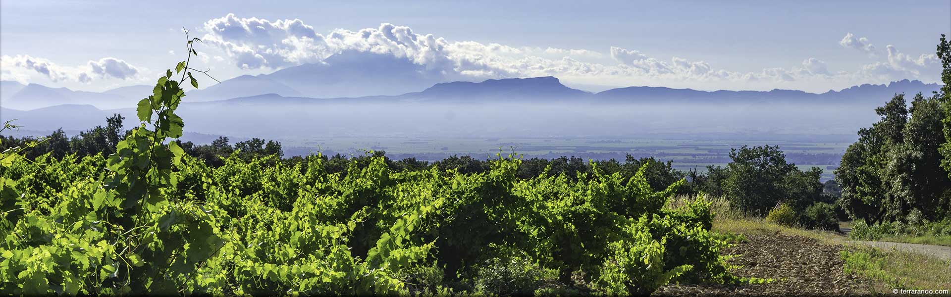 Randonnée de Sérignan-du-Comtat et le Bois de la Montagne