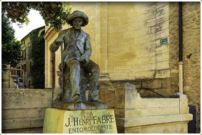 Randonnée pédestre de Sérignan du Comtat et le Bois de la Montagne